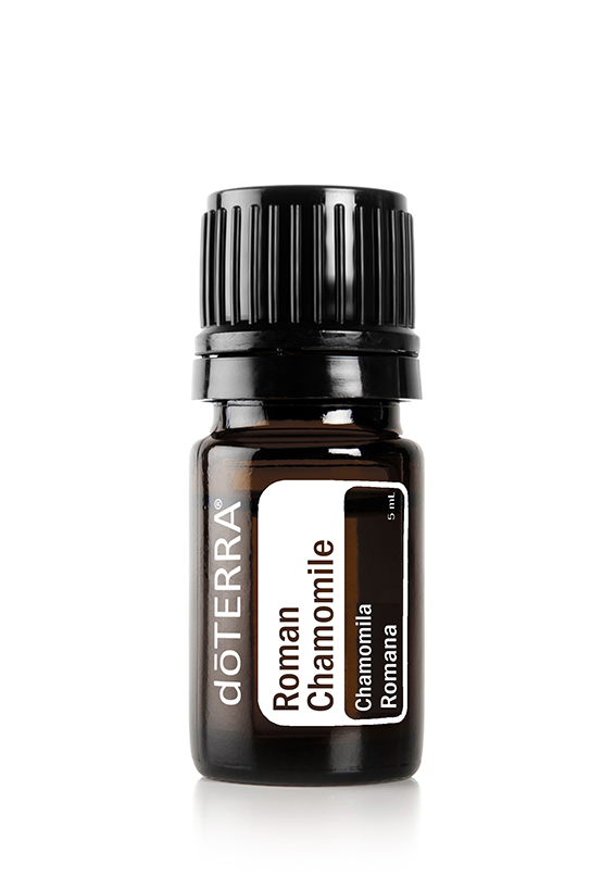 Roman Chamomile Óleo Essencial